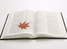 足球豪强力争亚洲区冠军头衔！